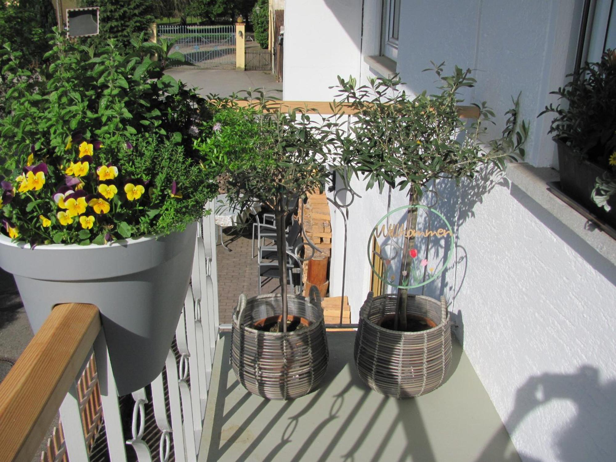 #1Gemuetliches Ruhiges Sonniges Balkonzimmer Mit Gemeinschaftsbad W-Lan Airport Nah Late Night Check In Haus Nr 9,5 Trunkelsberg Eksteriør billede